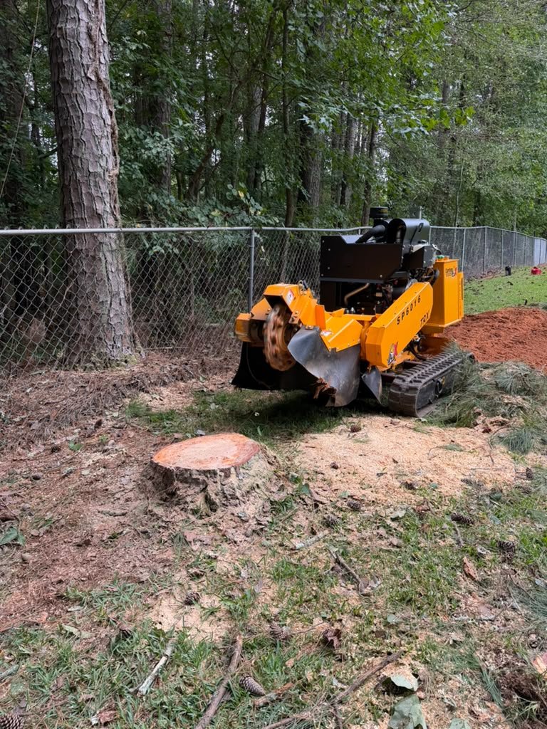 Professional stump grinding service