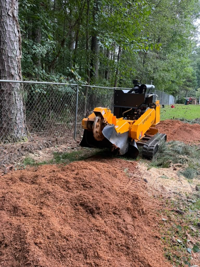 Ground area after professional stump grinding